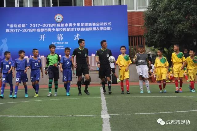奥运羽毛球梁王组合惜败摘银 羚羊组合成功卫冕